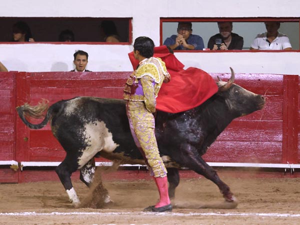 Final de faena