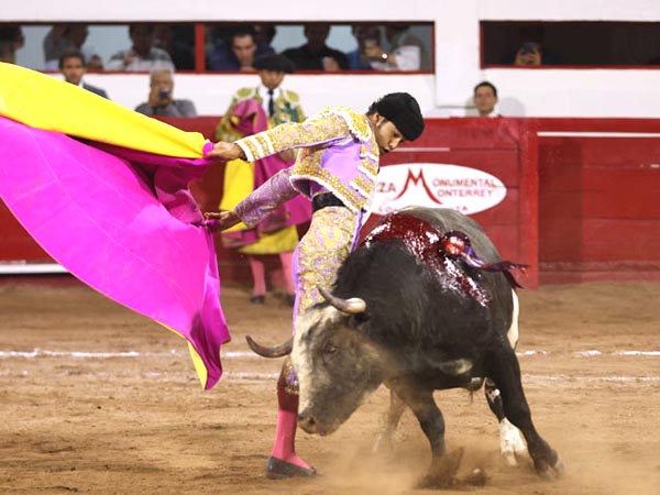 Los vuelos en la gaonera