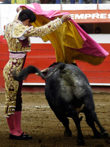 Variado con el capote