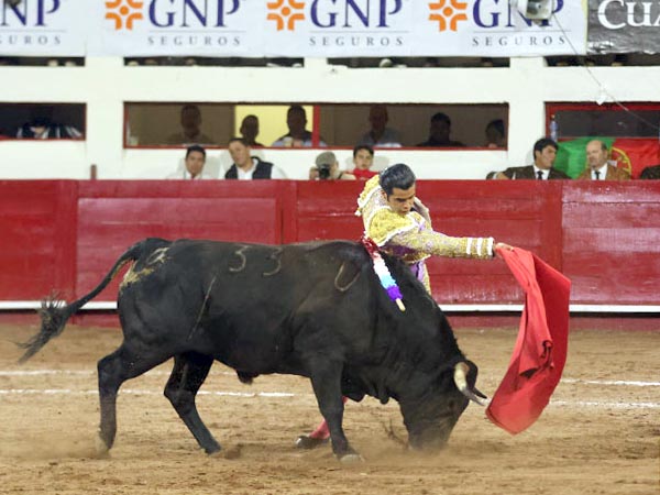 De pechoi