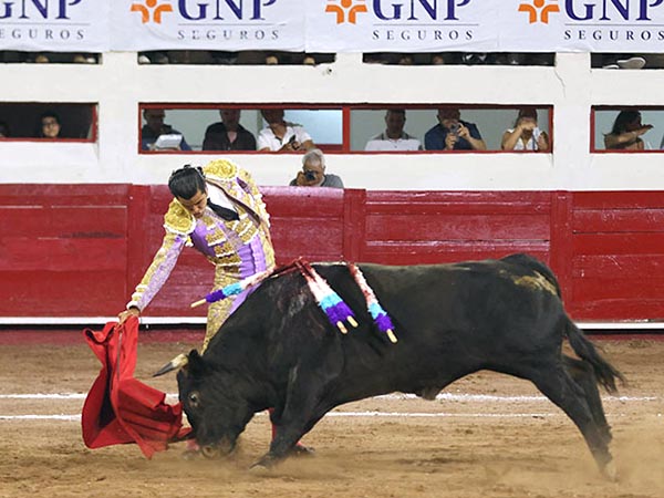 Los belfos en la arena