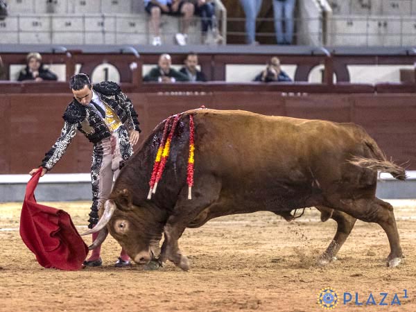 Gald&oacute;s lidia un toro de 720 kilos en Madri