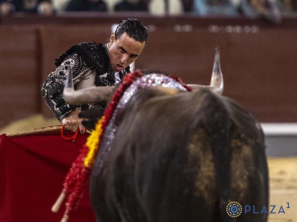 Miradas cruzadas