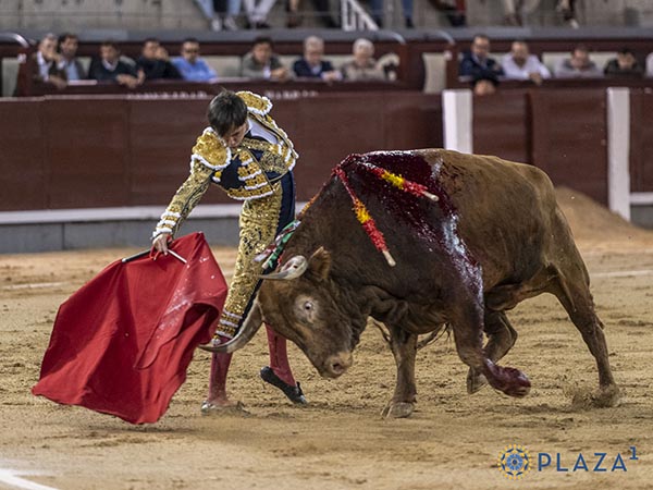 Francisco, primer espada
