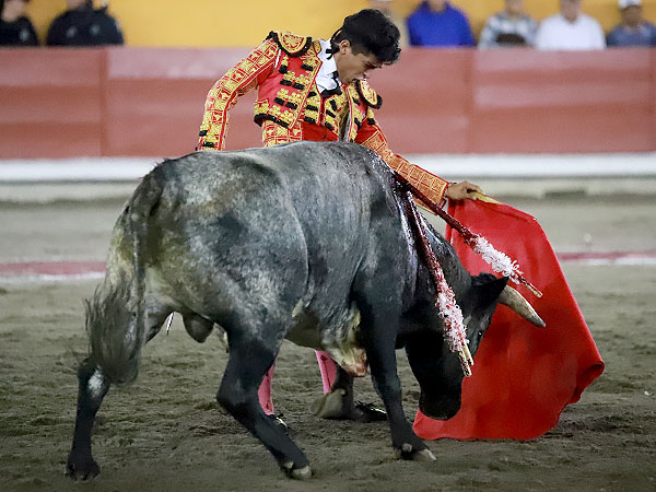 Encajado