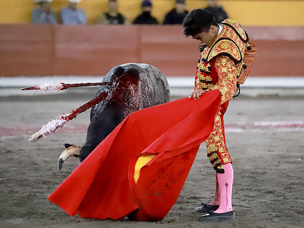 Acariciando la embestida