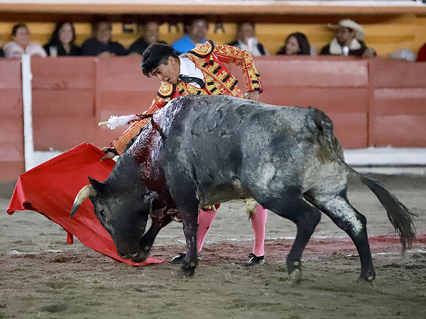 Aprovech� el buen novillo