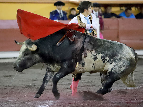 Estoicos adornos