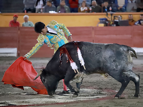 Calidad en la embestida