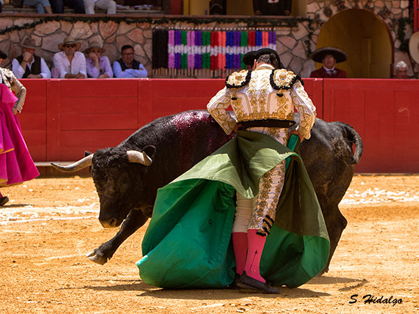 Venga el arte