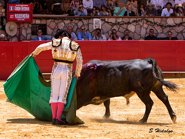 Un precioso mandil del extreme�o