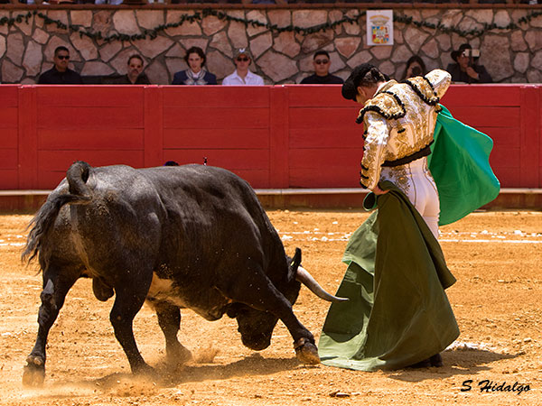 Sentimiento