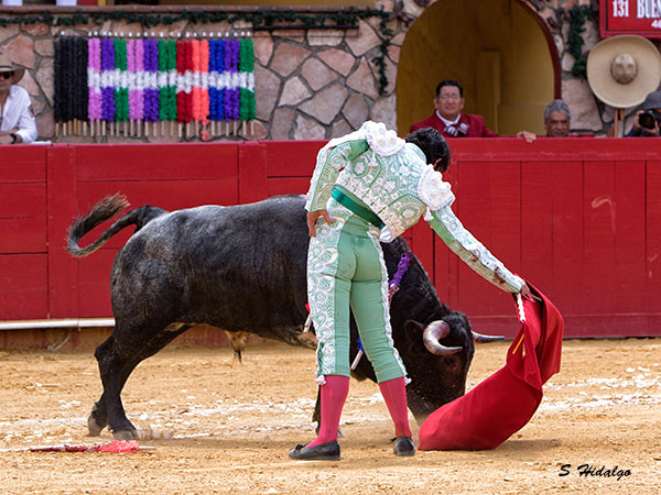 Metido en la muleta