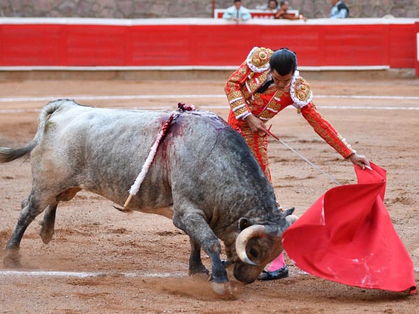 Tersos ayudados