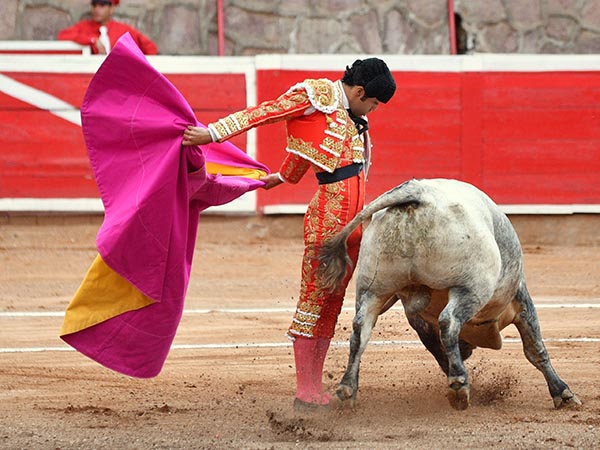 Luci� en las gaoneras