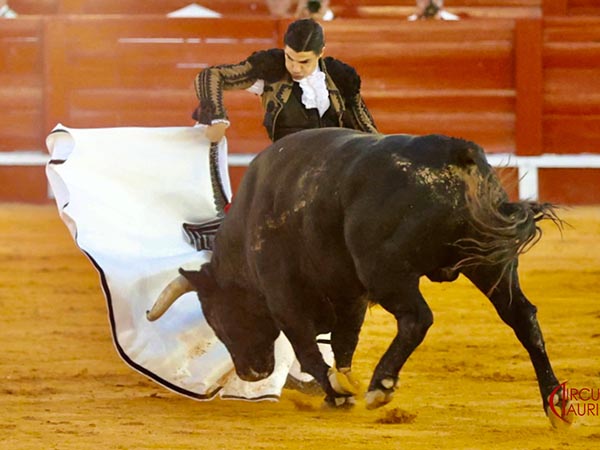 Heterodoxo percal en albo