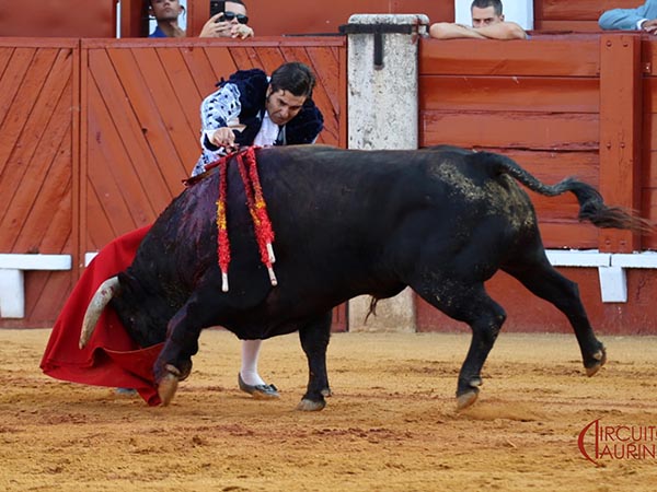 Partido en dos