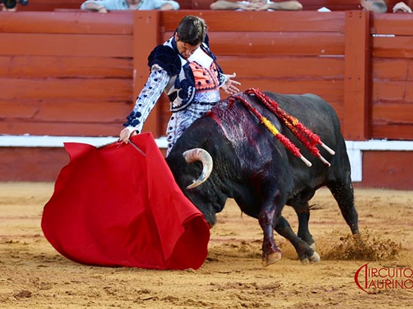 �Torero!