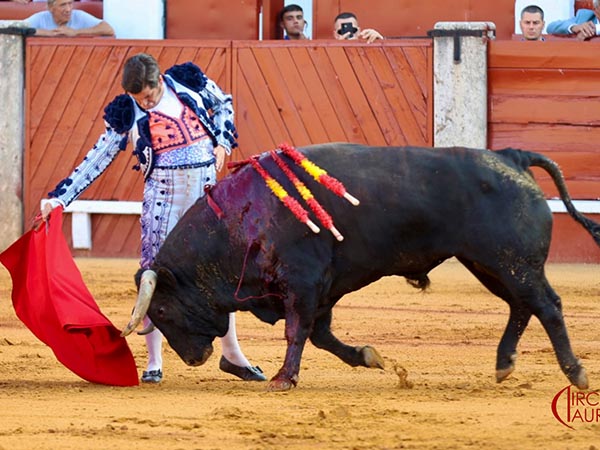 La nobleza del negro