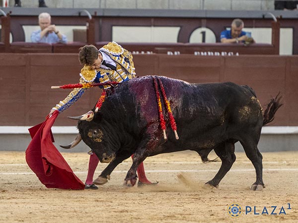 Coreado en las tandas