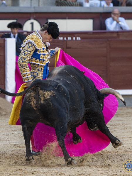 Por ver�nicas