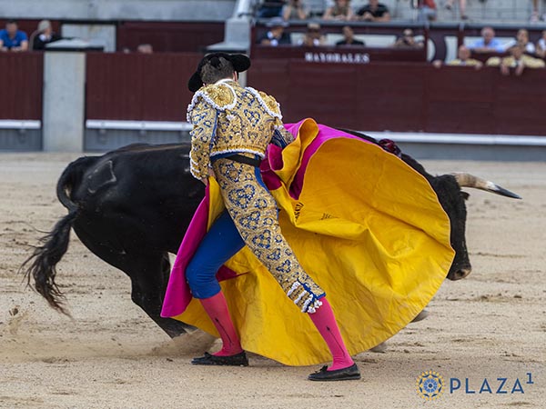 Abrochando el saludo