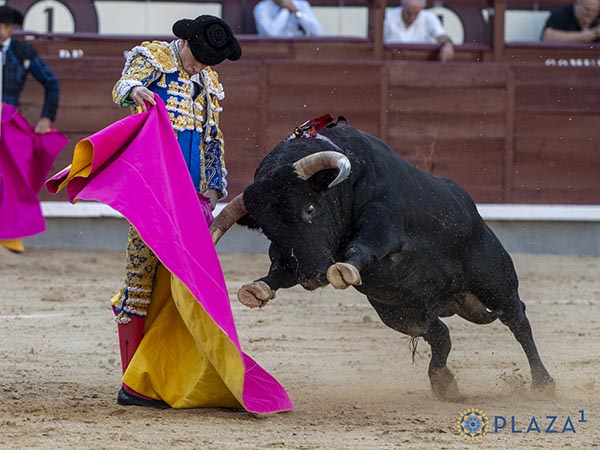 Manos por delante