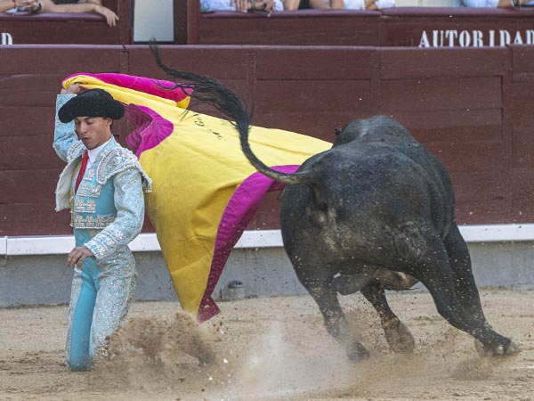 Larga de hinojos