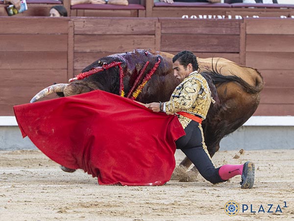 Doblones rodilla en tierra