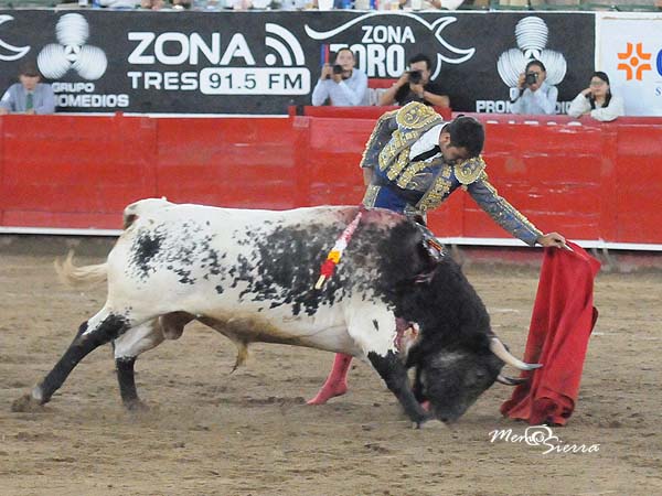 Lucido en los naturales