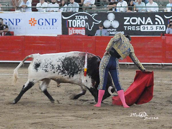 Los belfos en la arena