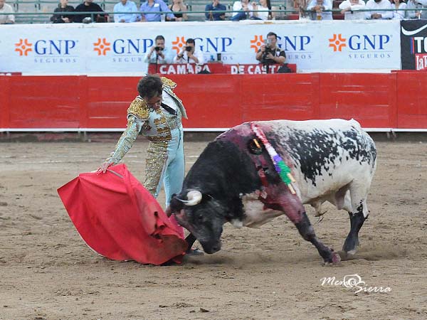 Buscando la tela