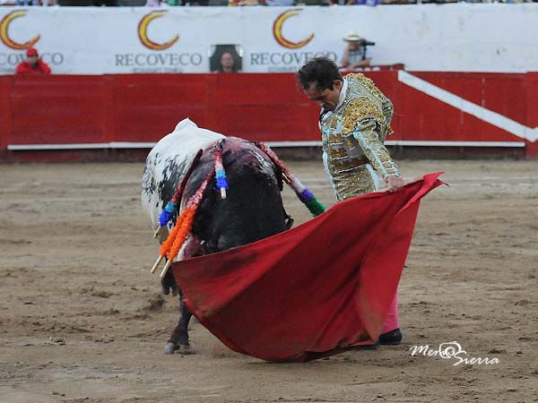 Tirando del ejemplar