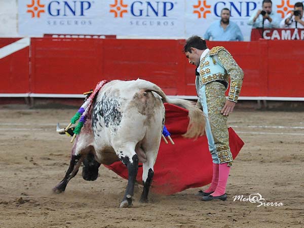 Haci�ndose del novillo