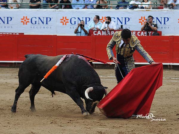 Mando en los ayudados