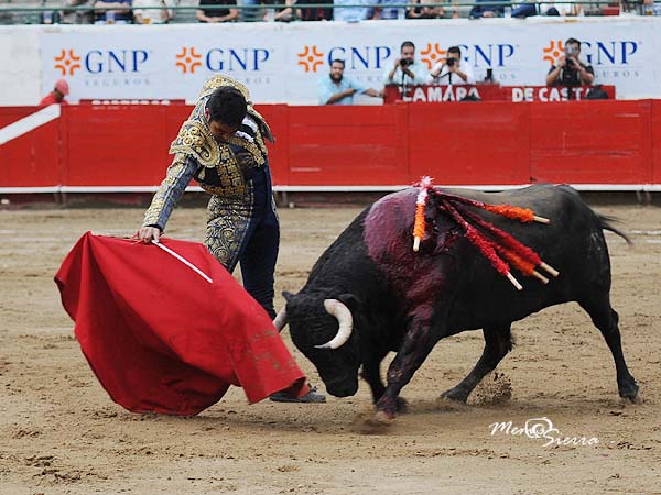 Acompasadas tandas