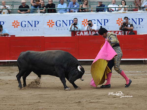 Ahormando la embestida