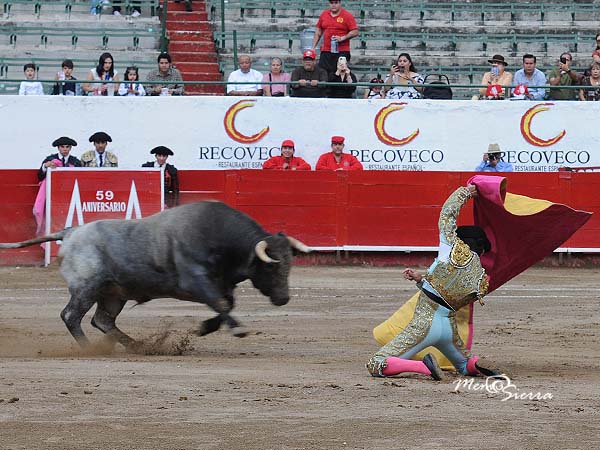Buscando el triunfo