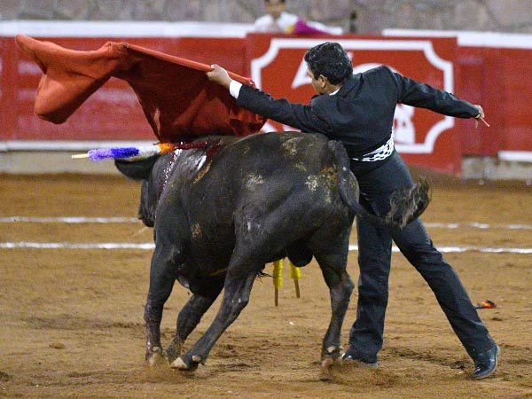 El coraz�n por delante