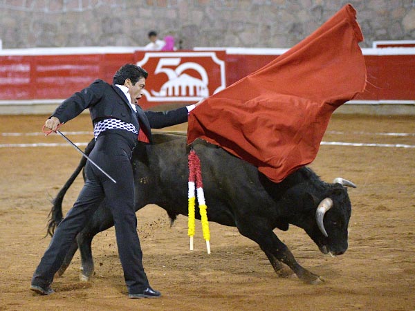 Una lecci�n para nuevos toreros
