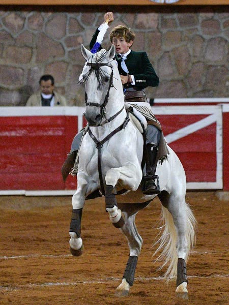 Elegante cite