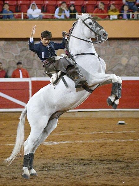 Donimio en las suertes
