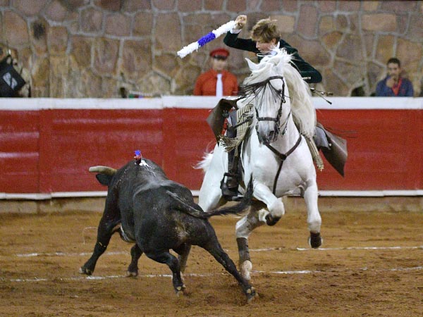La sangre nueva en el toreo a caballo