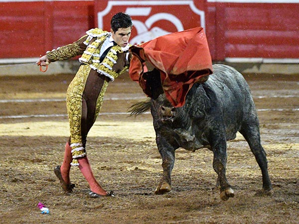 Pase por alto