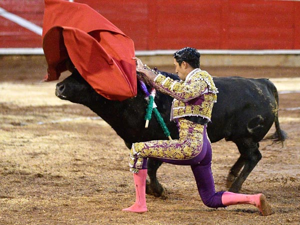 Rodilla en tierra