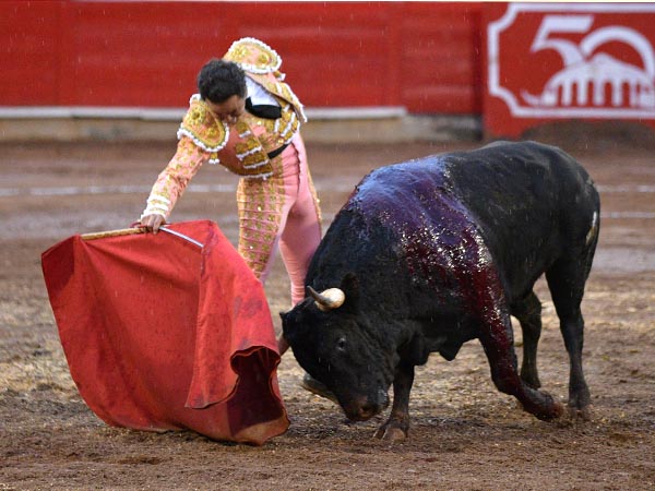 Voluntad de embestir