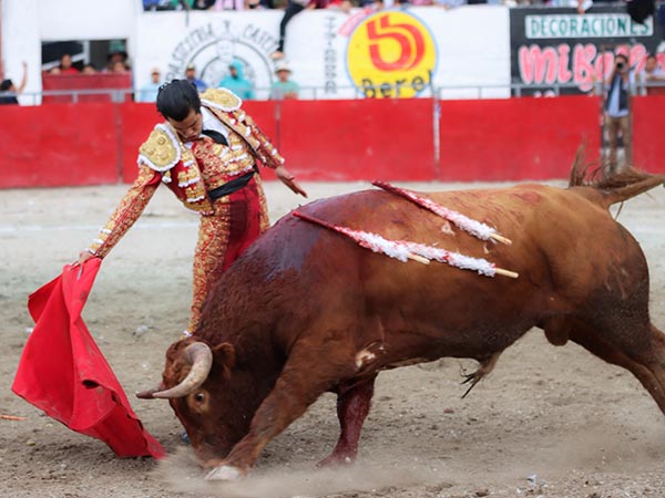 Bravo y noble