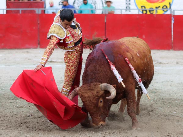 Ce�idas tandas de Diego