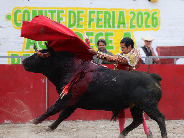 Remate por alto