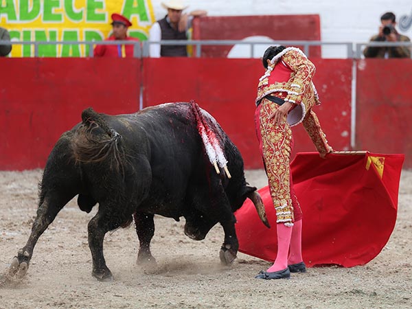 Llev�ndolo toreado